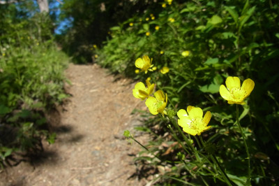 RIMG0080.jpg