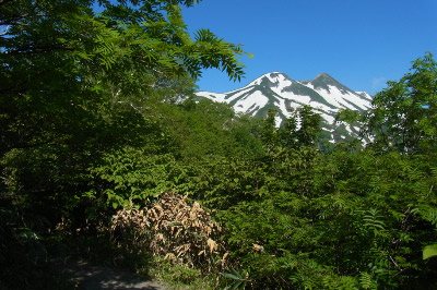 RIMG0083.jpg