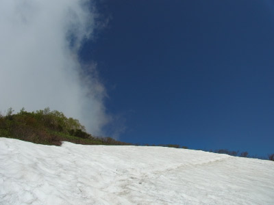 RIMG0095.jpg