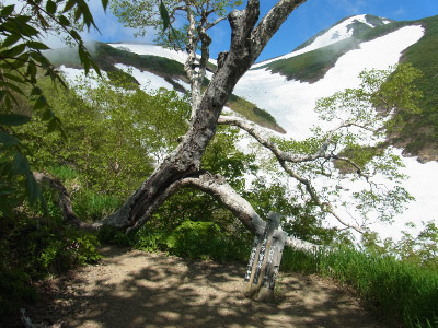 RIMG0098.jpg