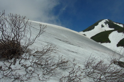 RIMG0103.jpg