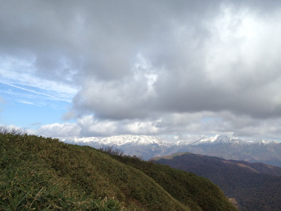 IMG_2051.jpg