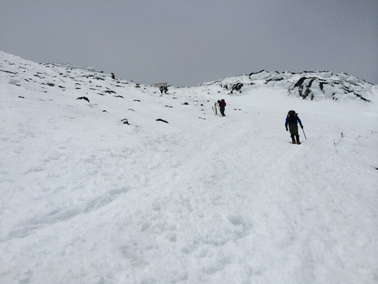 IMG_8076.jpg