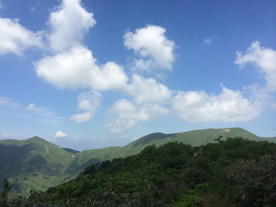 IMG_8229.jpg