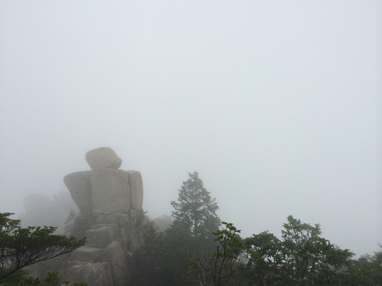 IMG_8290.jpg