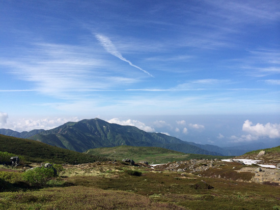 IMG_8796.jpg