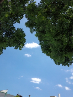 170617_125255.jpg