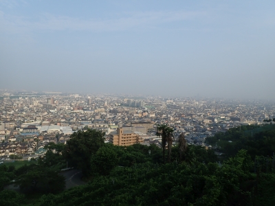 P7281897.jpg