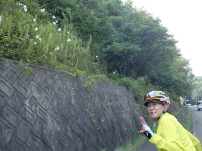 P8171959.jpg