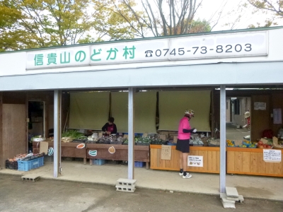 P1030410.jpg