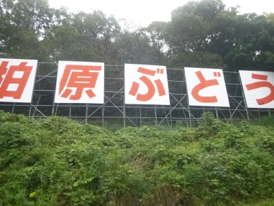 P1030423.jpg