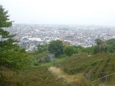 P1030424.jpg