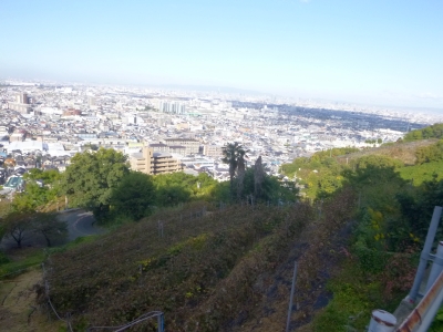P1030486.jpg