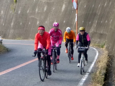 P1030496.jpg