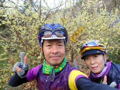 P1110539.jpg