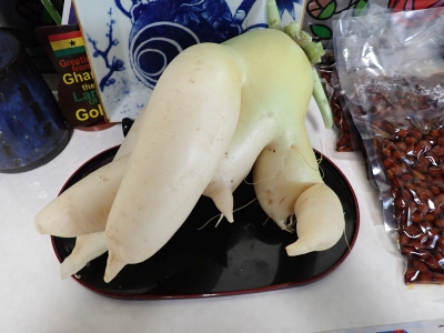 P1110543.jpg