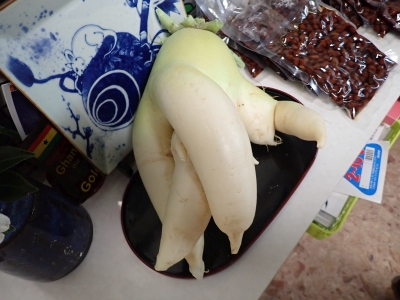P1110544.jpg
