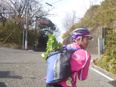 P1030695.jpg