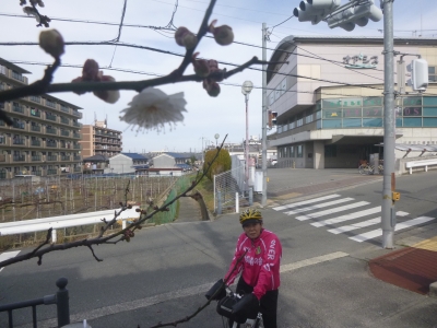 P1030696.jpg