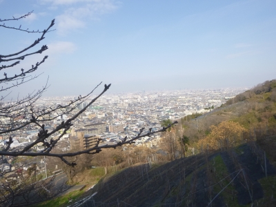P1030716.jpg