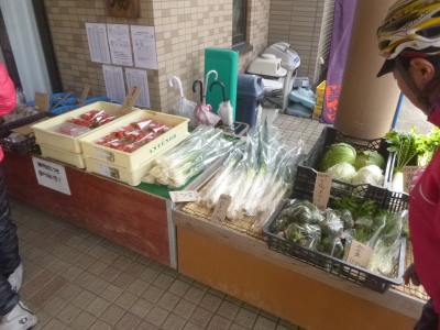 P1030720.jpg