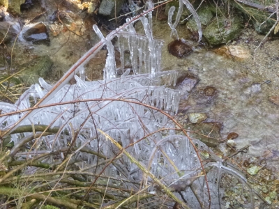 P1030744.jpg
