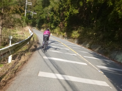 P1030747.jpg
