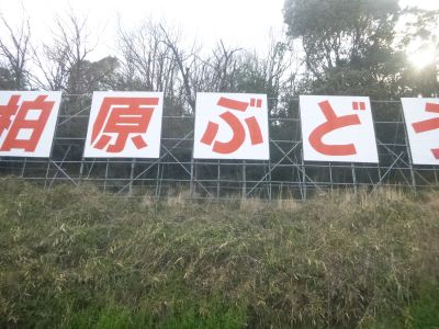 P1030815.jpg