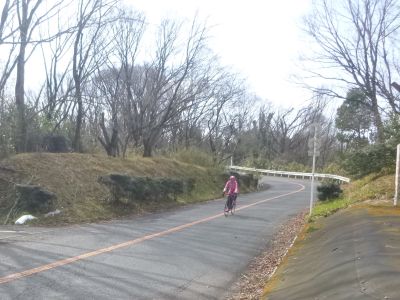 P1030817.jpg