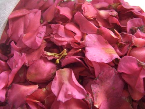 さざんかの花びら染め のんびり家の日記