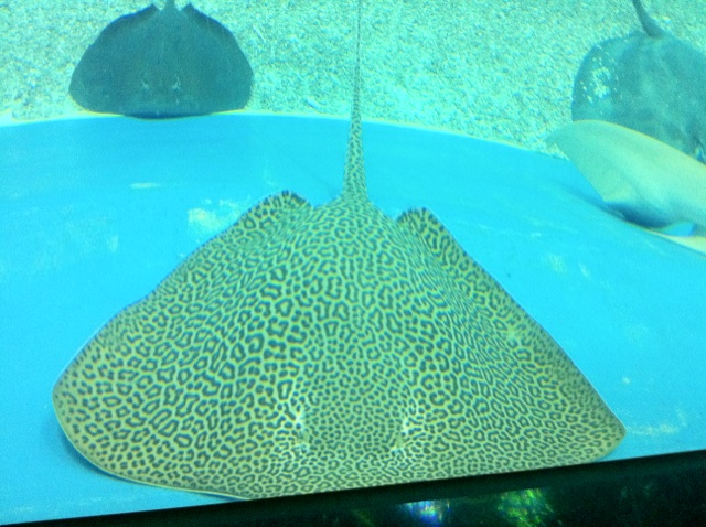 IMG_6893.jpg