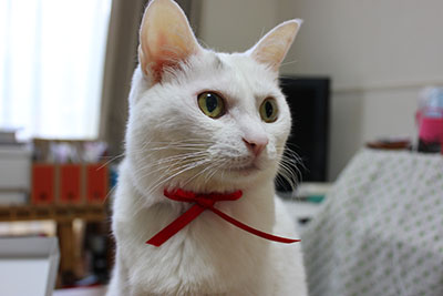 20130322_416713.jpg
