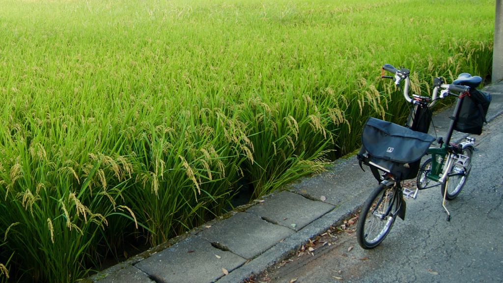Brompton