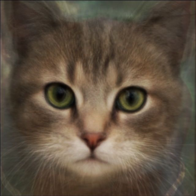 猫の平均顔 average face of cats