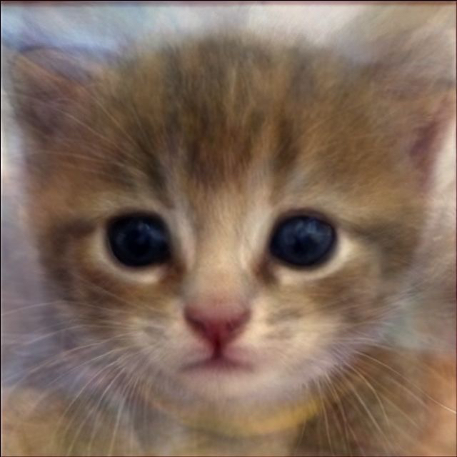 猫の平均顔 average face of cats