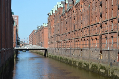 DSC_0398.JPG