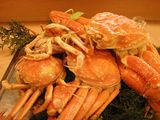 2006年の香住カニ