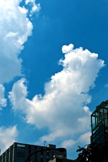 夏の空