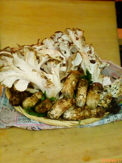 201009271351.jpg