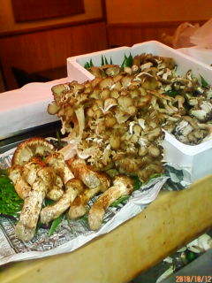 201010121452.jpg