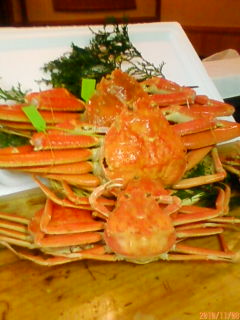 201011081536.jpg