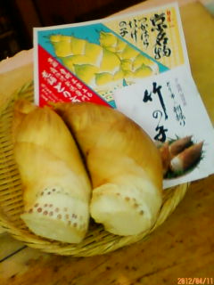京都産筍