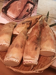 京都産白子筍