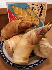 京都産白子筍