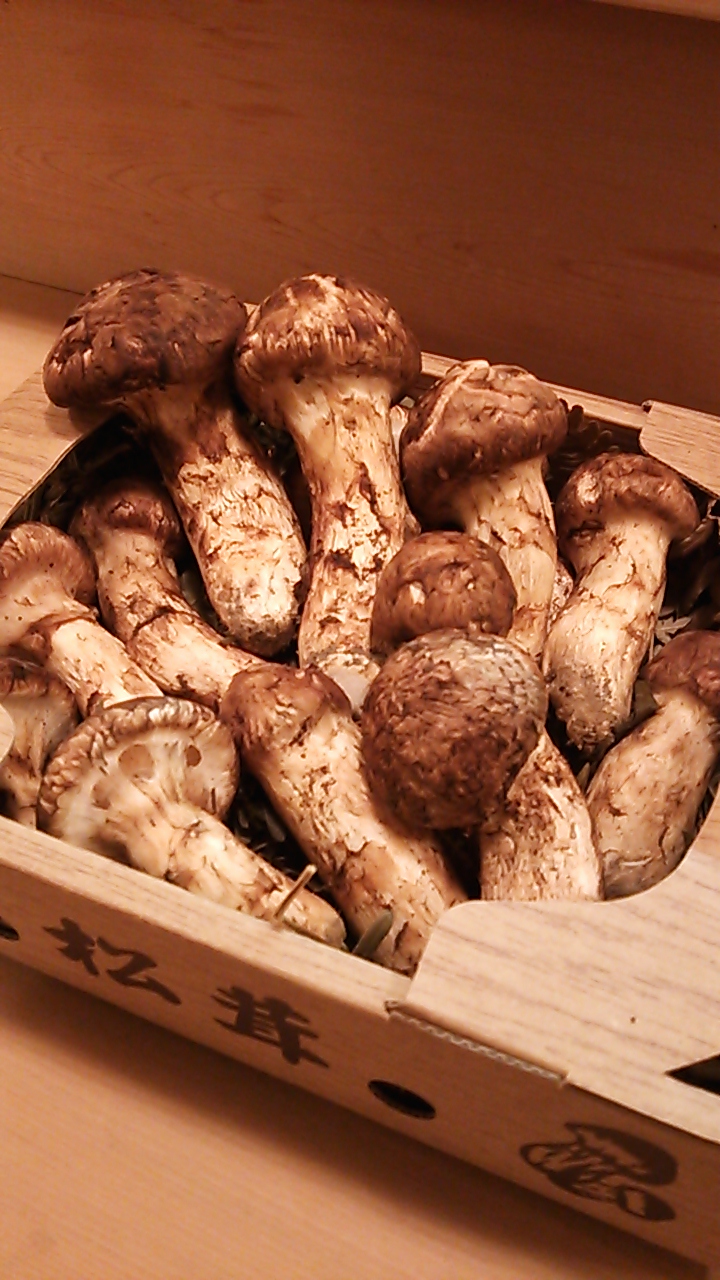 信州産松茸
