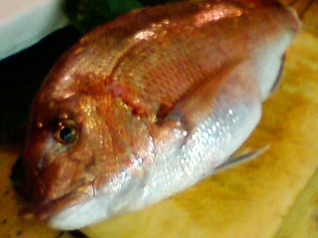 PIC000008.JPG