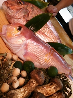松茸、甘鯛など