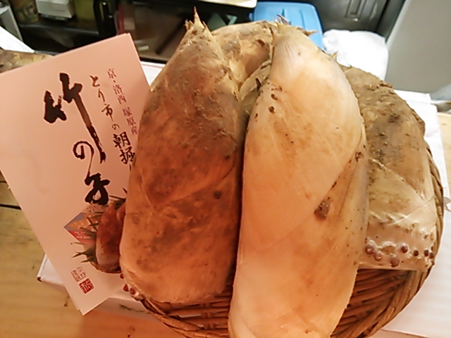 京都産白子筍