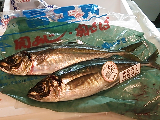 関鯵