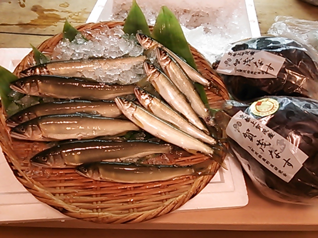 鮎、賀茂茄子